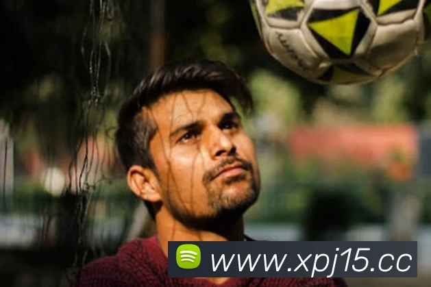 AI Risk Control